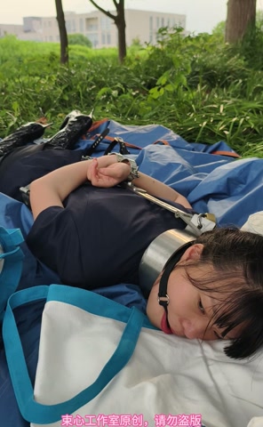 星尘职业套裙，金属脖腰手固定，马具口球，脚镣，游乐场小树林行走 第12张