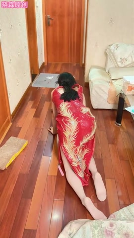 晓森一小时狗奴训练 第12张
