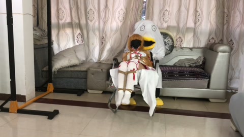 琳媚定拍 COS 银魂伊丽莎白大战刀剑神域亚丝娜 绑起来 第12张