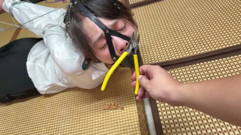 细铁丝极限欧式直臂并肘驷马，极度痛苦！绝望嚎叫！ 第12张