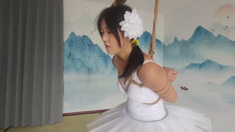 芭蕾裙五花脚镣踮脚放置 第12张