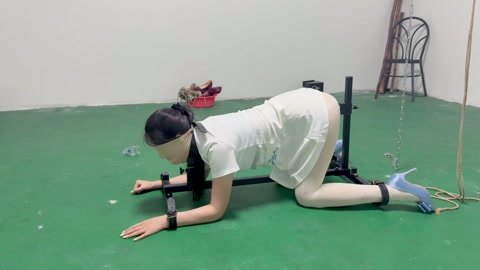 k9架折磨被逼飙脏话 第12张